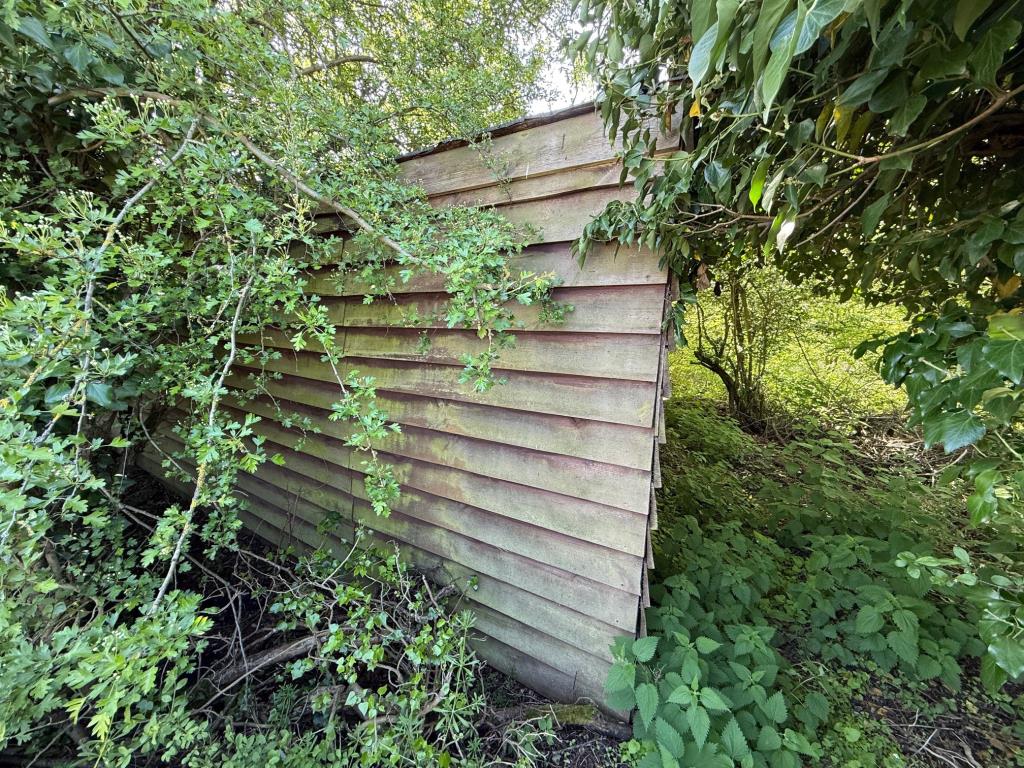 Lot: 89 - PARCEL OF LAND FRONTING WALTHAM ROAD - Disused timber stable building on the overgrown land